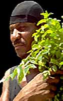 Armando, The Voodoo King of New Orleans, Blesses himself with herbs before he draws near to Marie Laveau's Grave for a secret New Orleans Voodoo Ritual.