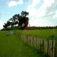 BATTLEFIELD GHOST IN CHALMETTE PRE HURRICANE KATRINA,PHOTO SENT TO US BY BILL M.