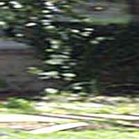BACKYARD GHOST NEAR A HAUNTED CEMETERY IN METARIE LOUISIANA, PHOTO SENT TO US BY MARK.