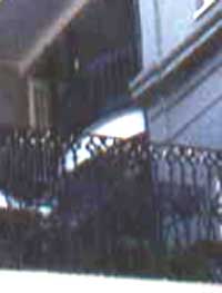 A ghoat dog at the Lalaurie House , photo from Lance Thomleson.