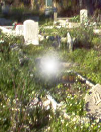 Ghost post Katrina sent to us by Nickey Sazbo.