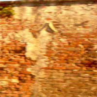 Face on cemetery wall from St. Louis cemetery Number 2 ,Peter Marris.