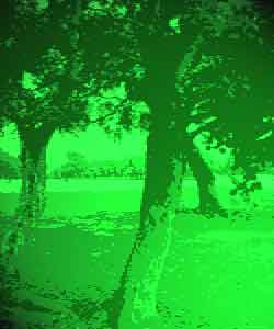 In New Orleans City Park Golf course Ghost seem to be playing parr. True Haunted Tales of a famous New Orleans Haunted Golf course.