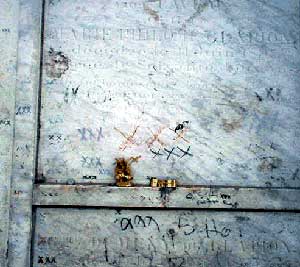 Monkey and cick Found at the tomb of Marie Laveau after Hurricane Katrina.